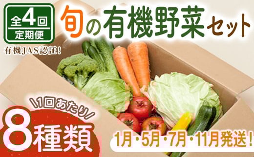 コトコトファーム 旬の有機栽培野菜セット 全4回 定期便 野菜 セット 有機JAS 詰め合わせ 国産 旬 季節 おまかせ お楽しみ 冷蔵 【コトコトファーム】【ho1552】