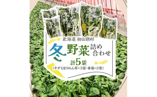 ＜北海道 初山別村＞冬野菜詰め合わせ5袋(チヂミほうれん草×3袋・春菊×2袋)【1665017】