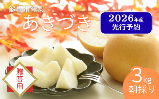 【2026年産先行予約】＜贈答用＞果汁たっぷりの極上梨「あきづき・3kg」6～9玉 千葉県 船橋市産 エコチョク