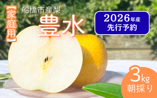 【2026年産先行予約】＜家庭用＞果汁たっぷりの極上梨「豊水・3kg」6～9玉 千葉県 船橋市産 エコチョク