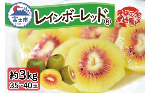 キウイフルーツ（レインボーレッド®）3kg 極旨 高糖度 詰め合わせ 35～40玉前後 期間限定 [sf001-007]