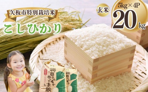 矢板市特別栽培米 こしひかり 玄米 5kg×4P | お米 米 こめ 白米 玄米 にじのきらめき コシヒカリ こしひかり 美味しい お弁当 選べる エコ スマート 環境 手間暇 土づくり  ふるさと 納税 栃木県 矢板市 2322667 - 栃木県矢板市
