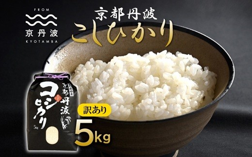 京丹波こしひかり 5kg 訳あり 《 数量限定 》 令和7年産 新米 京都 精米 白米 コシヒカリ ※北海道・沖縄・その他離島は配送不可 [015MB003] 2328604 - 京都府京丹波町