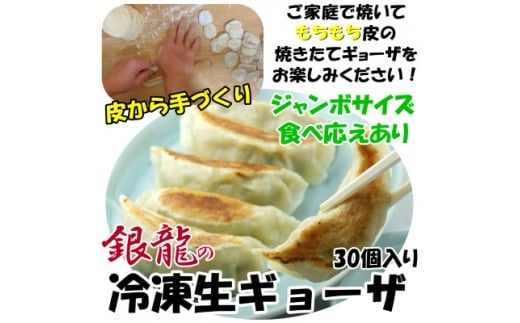 冷凍餃子30個【1662754】
