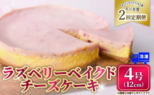 2回 定期便 ラズベリーベイクド チーズケーキ 4号 12cm 冷凍 スイーツ デザート ケーキ ベリー 洋菓子 お菓子 おやつ 手作り お取り寄せ ご褒美 ギフト プレゼント 贈り物 誕生日 記念日 パーティー 濃厚 クリーミー 酸味 爽やか サワークリーム クッキー バター 専門店 チーズケーキ工房 ちーず屋 数量限定 人気 おすすめ ランキング 2ヶ月連続 頒布会 高知県 安芸市 2358132 - 高知県安芸市
