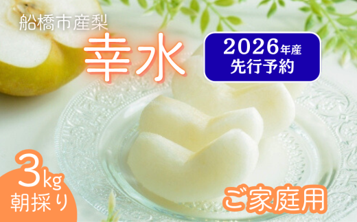 【2026年産先行予約】＜家庭用＞果汁たっぷりの極上梨「幸水・3kg」6～9玉 千葉県 船橋市産 エコチョク
