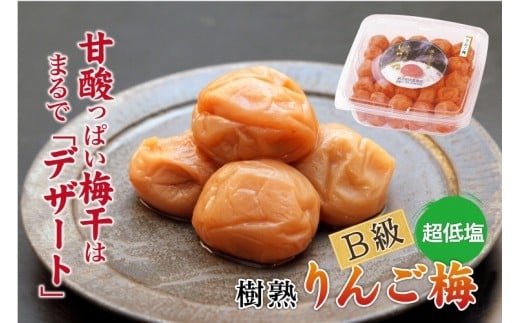 紀州南高梅 徳用 りんご梅 1.5kg×1箱 ［Kn10］ 2326579 - 和歌山県印南町