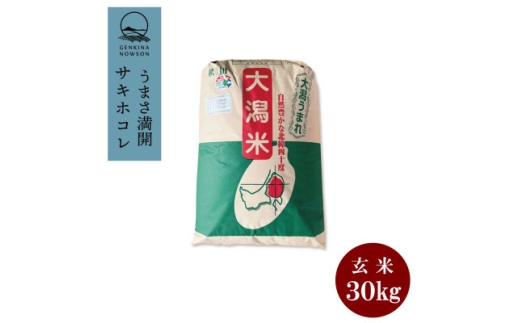 ＜毎月定期便＞サキホコレ30kg　1等　玄米全12回【4072959】 2329458 - 秋田県大潟村