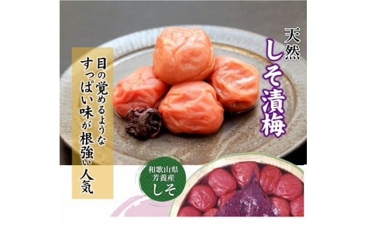 紀州南高梅 しそ漬梅 1kg×1箱 ［Kn4］ 2326575 - 和歌山県印南町
