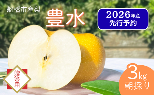 【2026年産先行予約】＜贈答用＞果汁たっぷりの極上梨「豊水・3kg」6～9玉 千葉県 船橋市産 エコチョク