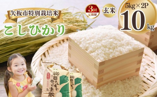 [定期便3回]矢板市特別栽培米 こしひかり 玄米 5kg×2P | お米 米 こめ 白米 玄米 にじのきらめき コシヒカリ こしひかり 美味しい お弁当 選べる エコ スマート 環境 手間暇 土づくり  ふるさと 納税 栃木県 矢板市 2322666 - 栃木県矢板市