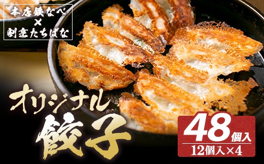 W02-12 本店鉄なべ×割烹たちばな オリジナル餃子 48個 国産 肉 餃子 ぎょうざ ギョーザ ギョウザ 小分け 人気 餃子 おすすめ 餃子 冷凍 おかず おつまみ 割烹 名店 ご当地グルメ