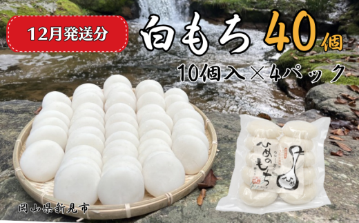 【2025年12月発送】白もち 40個 (10個入500g×4パック)ヒメノモチ100%使用 1120851 - 岡山県新見市