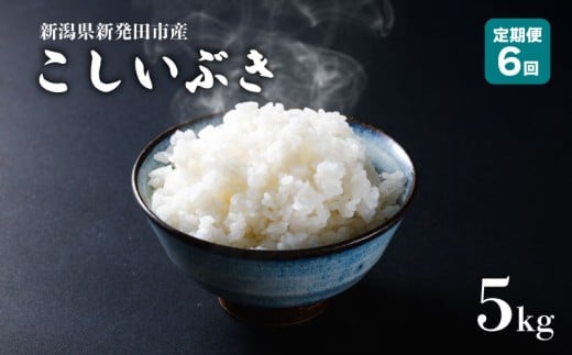 【定期便】 令和7年産 新潟県産 こしいぶき 5㎏×6か月 【 新潟県 新潟産 新潟米 新発田産 新発田 お米 米 こしいぶき とんとん市場 せいだ 5kg 30kg 6か月 半年 定期便 数量限定 玄米 D56_03 】　