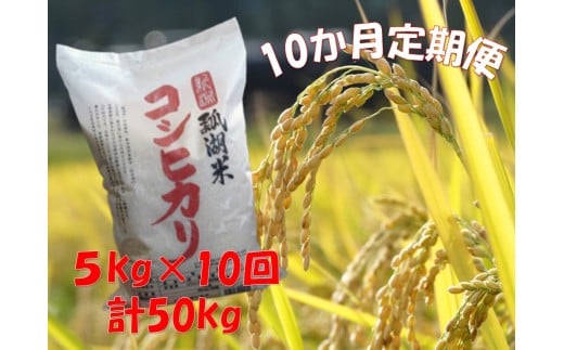 【令和7年産新米】【10ヶ月定期便】新潟産 コシヒカリ「瓢湖米」 5kg×10回 1N13170