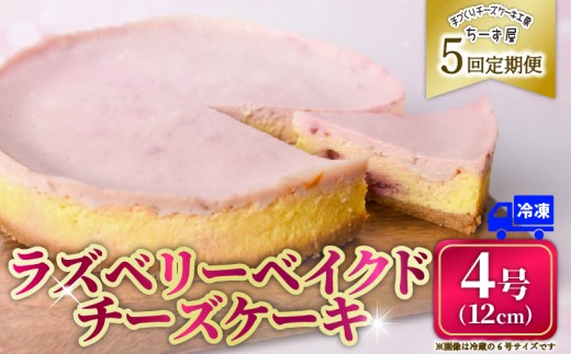 5回 定期便 ラズベリーベイクド チーズケーキ 4号 12cm 冷凍 スイーツ デザート ケーキ ベリー 洋菓子 お菓子 おやつ 手作り お取り寄せ ご褒美 ギフト プレゼント 贈り物 誕生日 記念日 パーティー 濃厚 クリーミー 酸味 爽やか サワークリーム クッキー バター 専門店 チーズケーキ工房 ちーず屋 数量限定 人気 おすすめ ランキング 5ヶ月連続 頒布会 高知県 安芸市 2358135 - 高知県安芸市