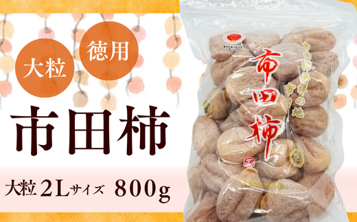TS02-25A 南信州産 市田柿 2Lサイズ 800g（ご家庭用大袋）// 長野県 南信州 干し柿 市田柿 高糖度 ドライフルーツ 家庭用 自宅用 大袋 大粒 2Lサイズ 527138 - 長野県松川町