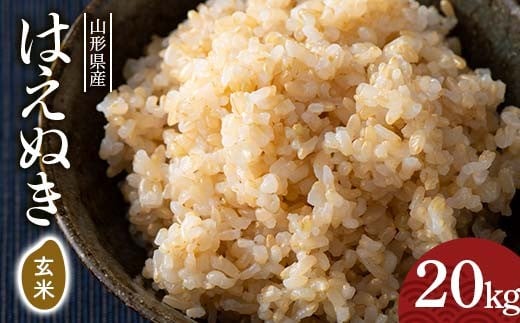 FYN6-284 令和7年度 山形県産 はえぬき 玄米 20kg(5kg×4) お米 米 ごはん ご飯 げんまい 銘柄米 ブランド米 2025年 自宅 家庭 贈り物 プレゼント 贈答 ギフト 食品  山形県 西川町 月山