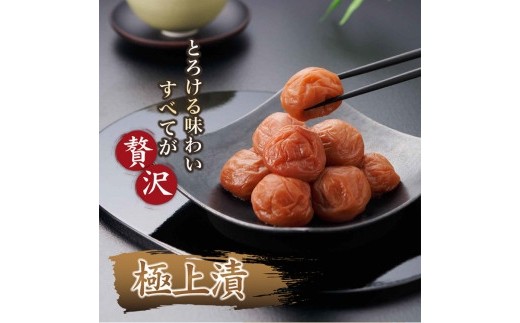 紀州南高梅 紀州極上漬 1kg×1箱 ［Kn1］ 2326570 - 和歌山県印南町