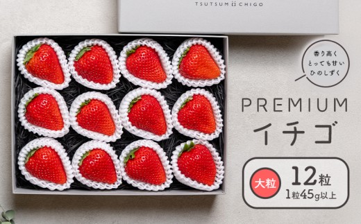 【選べる配送月】PREMIUM イチゴ ひのしずく 約45g×12玉 いちご イチゴ 12月 1月 2月 3月 苺 ヴァリアス株式会社 果物 くだもの フルーツ 希少 ギフト プレゼント 贈り物 国産 九州産 熊本県 菊池市 送料無料
