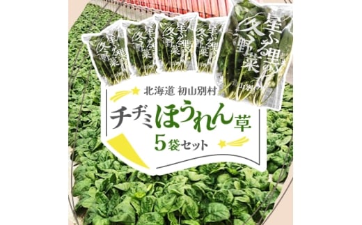 ＜北海道 初山別村＞ チヂミほうれん草×5袋セット【1665015】