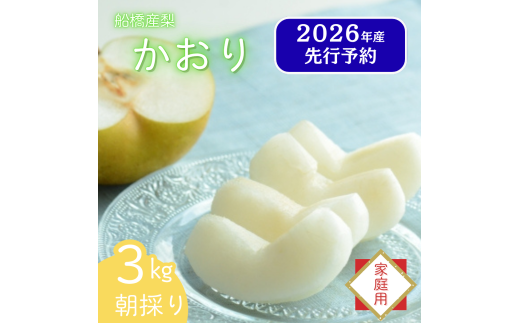 [2026年産先行予約][家庭用]果汁たっぷりの極上梨「かおり・3kg」4〜5玉 千葉県 船橋市産