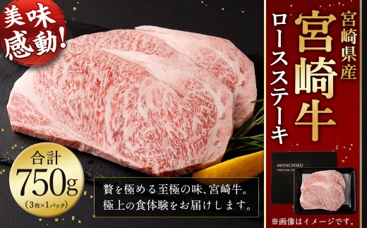 ＜宮崎牛ロースステーキ3枚 750g＞