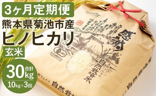 【定期便3ヶ月】七城物語 高野さんちの 自然栽培米 （玄米） 10kg （2.5kg×4パック）  合計30kg