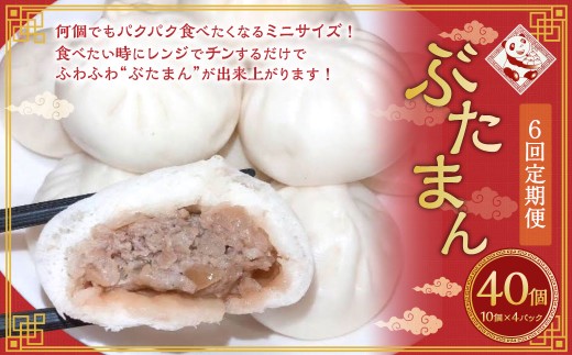 【全6回定期便】長崎ぶたまん 40個 (40個×6回) 合計240個