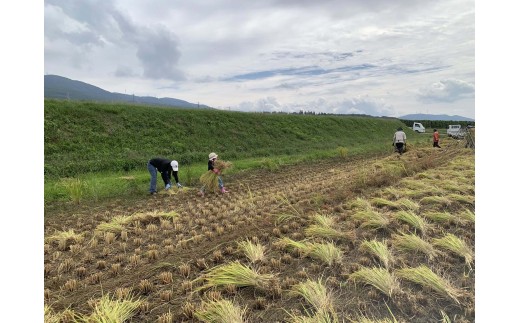 毎日のごはんが、未来への投資に。