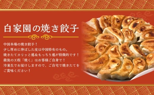 焼き餃子 10個×5袋 計50個