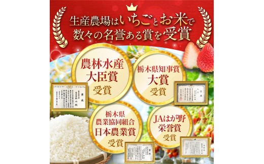 栃木県那珂川町のふるさと納税 【令和7年度新米】【栃木県共通返礼品】【数量限定】令和7年度新米 栃木県産ミルキークイーン 2kg | ミルキークイーン 数量限定  玄米 米 ごはん  玄米真空パック ふるさと納税 那珂川町 栃木県