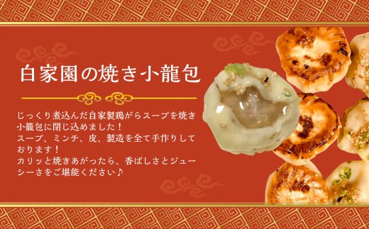 【全12回定期便】【詰め合わせ】ぶたまん20個×焼餃子10個×焼小籠包8個 ／ 中華 点心 惣菜 豚まん ぎょうざ セット