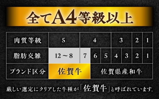 【全5回定期便】総計 3kg 佐賀牛 （シャトーブリアン & ヒレ 各 600g）（2ヵ月に1回お届け）