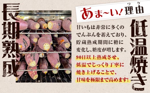 鹿児島県鹿児島市のふるさと納税 畑の金貨 焼き芋安納芋 1kg　K181-002_02