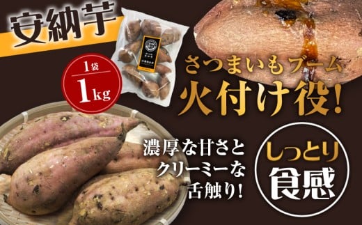 鹿児島県鹿児島市のふるさと納税 畑の金貨 焼き芋安納芋 1kg 焼き芋紅はるか 2kg　K181-001_02