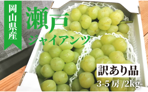 【きよとうファーム】訳あり品瀬戸ジャイアンツ（岡山県産）3-5房入/2kg~ <2025年発送> 【KF-B092-01】