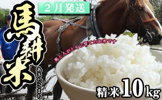 【 2026年 2月中旬より発送】 岩手県産 馬耕米 あきたこまち 精米 10kg ／【株式会社スタディア】 お米 米 白米 こめ コメ 馬ふん堆肥 使用 ご飯 ライス おにぎり 弁当 単一原料米 10キロ １０kg 馬耕 馬 ウマ うま 産地直送 国産 おすすめ 人気