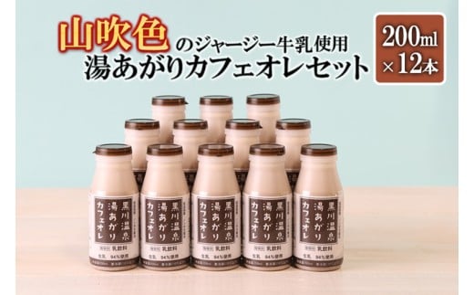 【山のいぶき】湯あがりカフェオレ 200ml 計12本 山吹色のジャージー牛乳 乳脂肪分 5％以上 低温殺菌 素材の味 飲みきり ギフト 贈答 セット 小国ジャージー牛乳 FOODEX JAPAN ご当地牛乳グランプリ 最高金賞 味の評価審査賞 購買欲審査賞 熊本 阿蘇 小国郷 906665 - 熊本県小国町