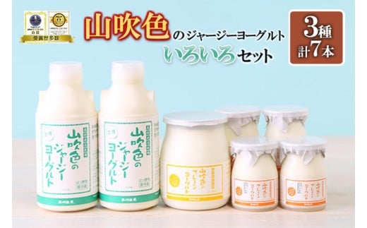【山のいぶき】山吹色のジャージーヨーグルト プレーン ざらめ 計7本 いろいろセット 乳脂肪分 5％以上 低温殺菌 素材の味 のむヨーグルト プレーンヨーグルト ギフト 贈答 小国ジャージー牛乳 FOODEX JAPAN ご当地ヨーグルトグランプリ 金賞 熊本 阿蘇 小国郷 906666 - 熊本県小国町