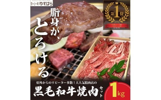 低温でも脂身がとろける梼原町産黒毛和牛 丸かじり焼肉セット（1kg）【GA02】牛肉 焼肉 焼き肉 やきにく 国産 高知県産 冷凍便 318161 - 高知県檮原町