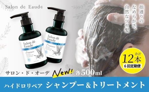 6回 定期便 サロン・ド・オーデ ハイドロリペア シャンプー ＆ トリートメント 各 500ml 2本 セット 合計 12本 ダメージ補修 ボトル 液体 アロインス製薬 美容 美容品 化粧品 日用品 消耗品 高知 高知県 四万十 四万十市 しまんと 25-95