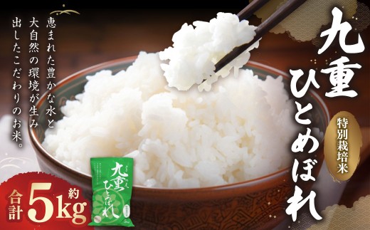 九重 ひとめぼれ 5kg 【2025年11月上旬発送開始予定】 米 こめ コメ お米 精米 ご飯 ごはん 常温 国産