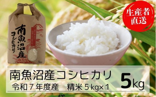 【令和7年産新米予約】南魚沼産コシヒカリ特A(精米5kg)【2025年10月下旬より順次発送予定】 2235480 - 新潟県南魚沼市