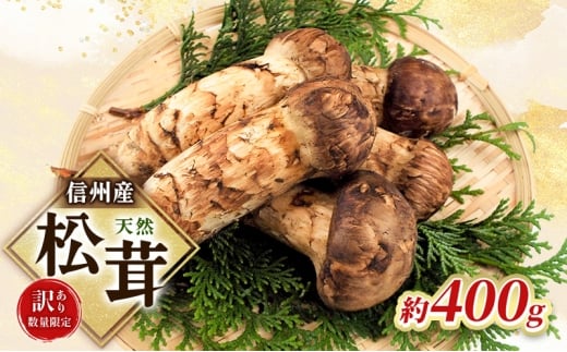 【訳あり】数量限定/信州産「天然松茸」（約400g前後）[№5659-1704]