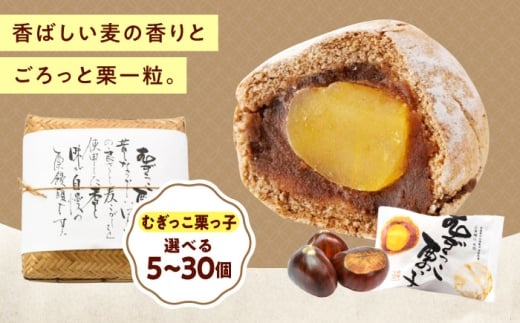 お菓子 むぎっこ栗っ子（30入箱） おやつ 菓子 お茶 スイーツ 広島県福山市/有限会社勉強堂 [BAFL035]