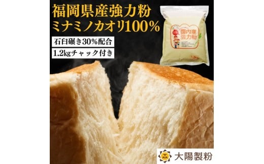 【福岡市内製造】あなたもパン屋さん！　福岡県産強力粉 1.2kg入×5袋セット（6kg）