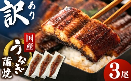 訳あり 鹿児島産 うなぎ 蒲焼 3尾セット 桂川町/山水商事 [ADAH048]