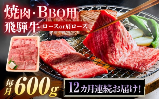 【12回定期便】  飛騨牛 焼肉 BBQ用 600ｇ 瑞浪市 / 養老ミート 冷凍 ロース 肩ロース 和牛 ギフト [AZDB064]