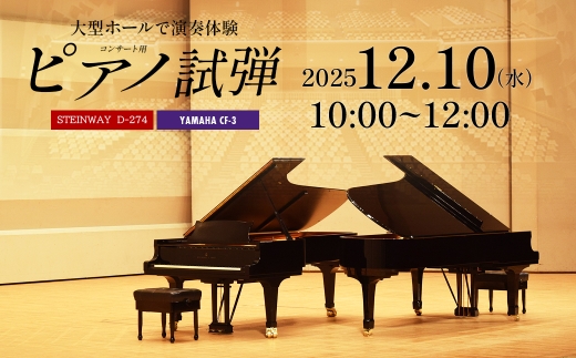 市川市文化会館大ホール　コンサート用ピアノ　スタインウェイD274　ヤマハCF3　2時間ピアノ試弾体験チケット　12月10日（水）10：00～12：00　【12203-0370-1】